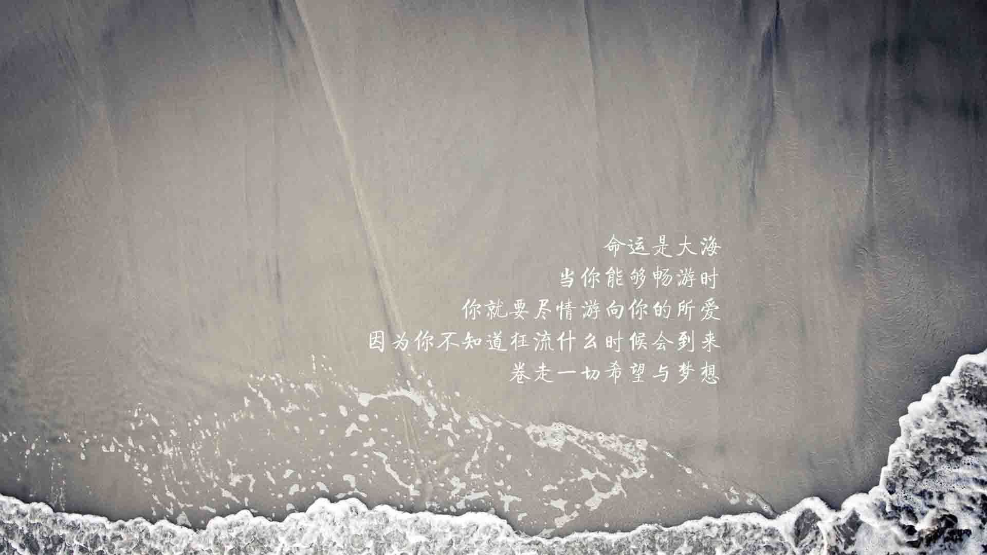 “nba文化：篮球如何成为世界年轻人的精神象征”，体现篮球精神的句子