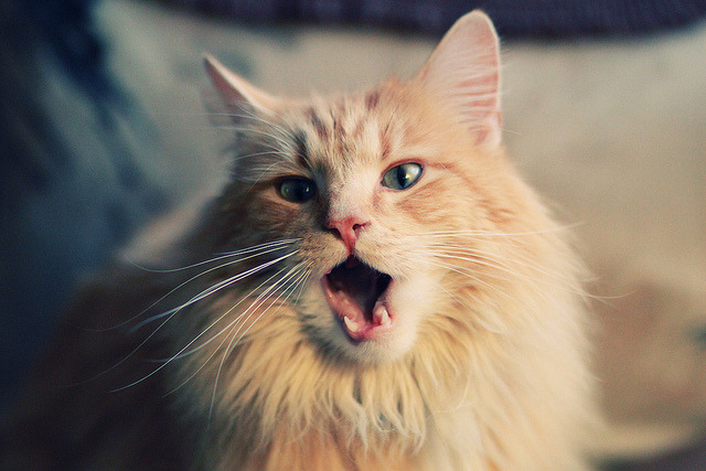 青少年“全民篮球日”在南京举行,共享运动快乐,青少年全国篮球联赛