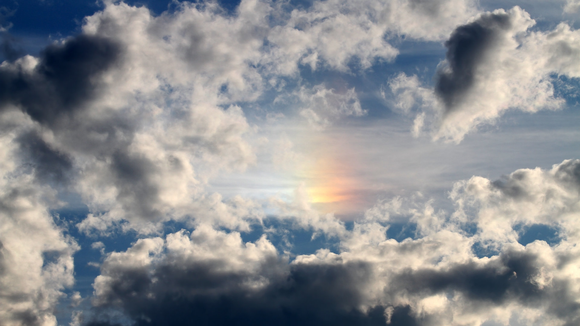 青少年“技能+素养”双提升工程在全国高效推进,行业基础不断夯实