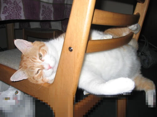 全北现代新援首秀破门,全北现代赞助商