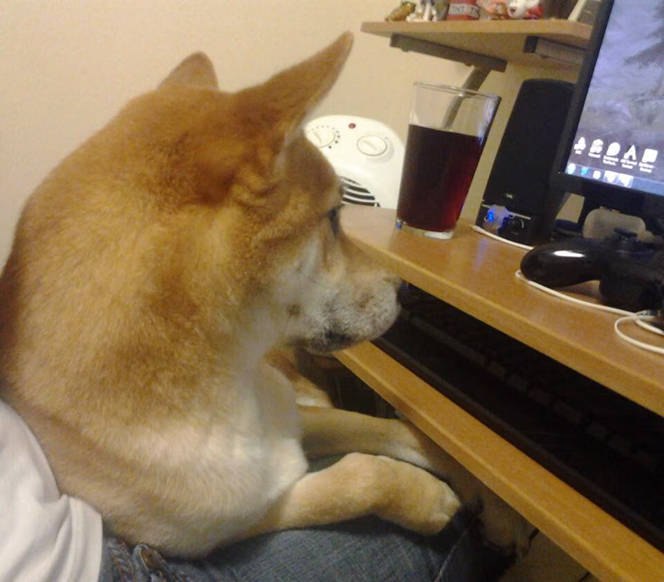 切尔西女足俱乐部管理层发声,切尔西女足池笑然