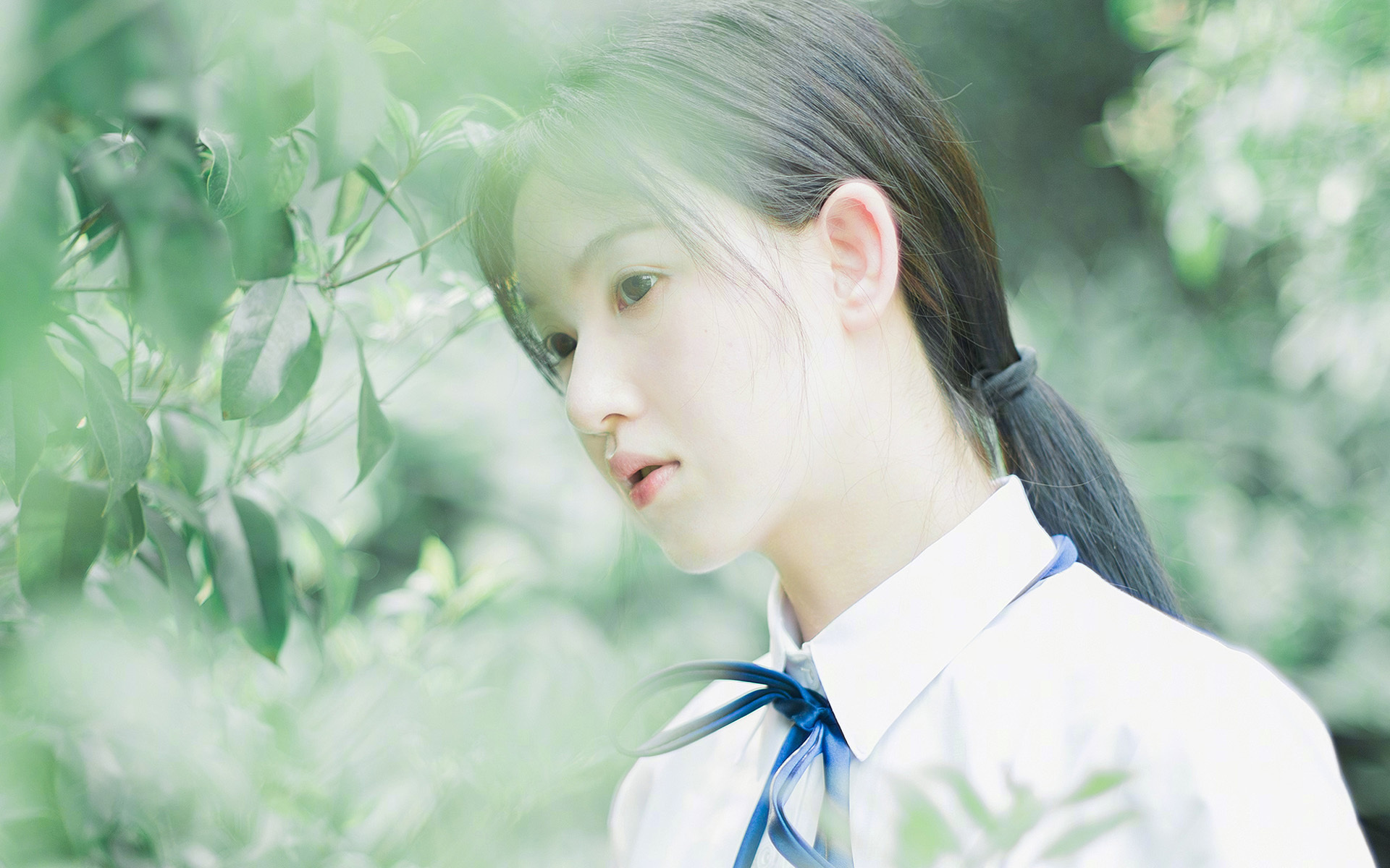 加拿大年轻球员崭露头角,加拿大年轻球员崭露头角视频