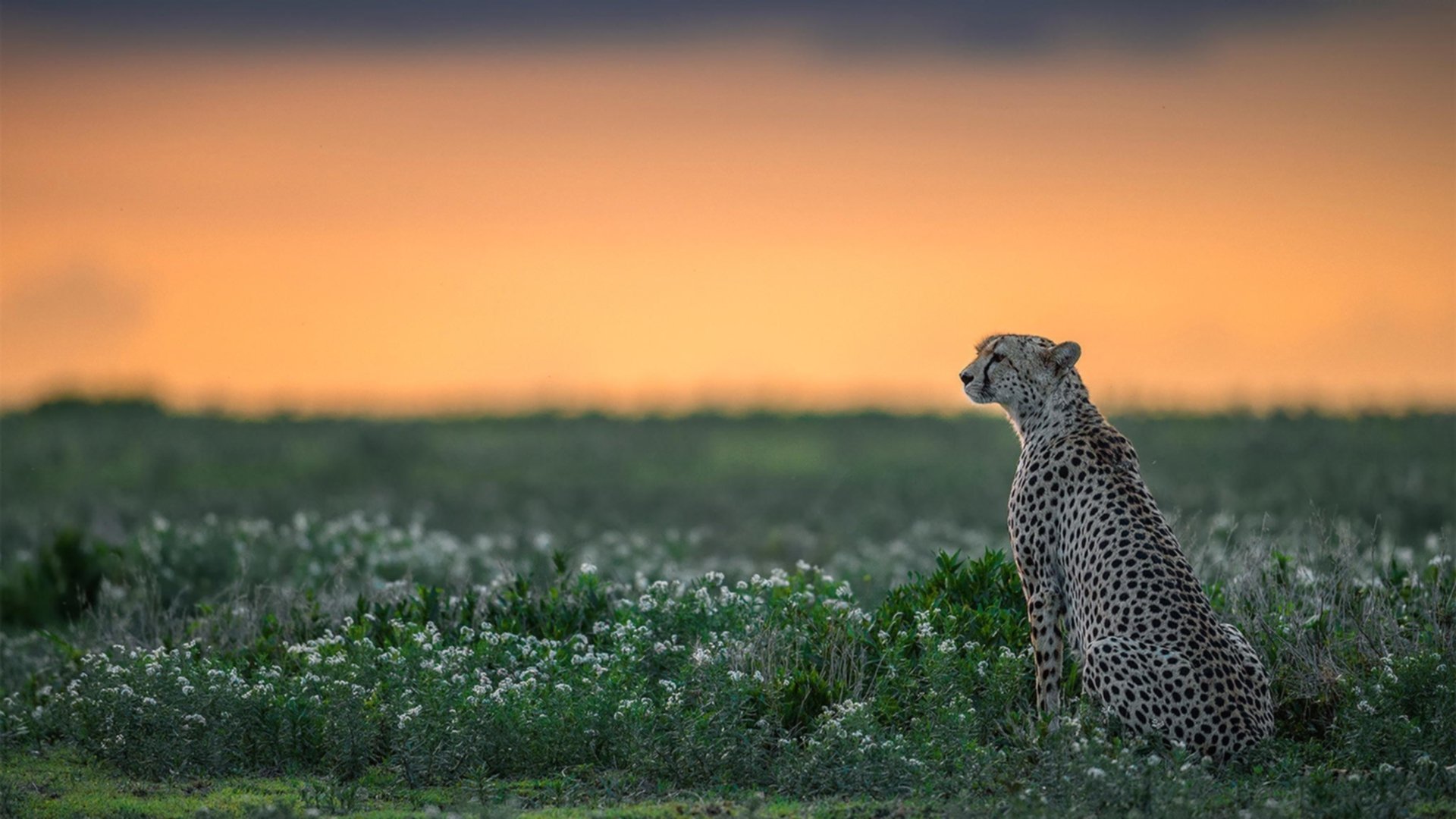 原州东浦新世代关键比赛表现坚韧