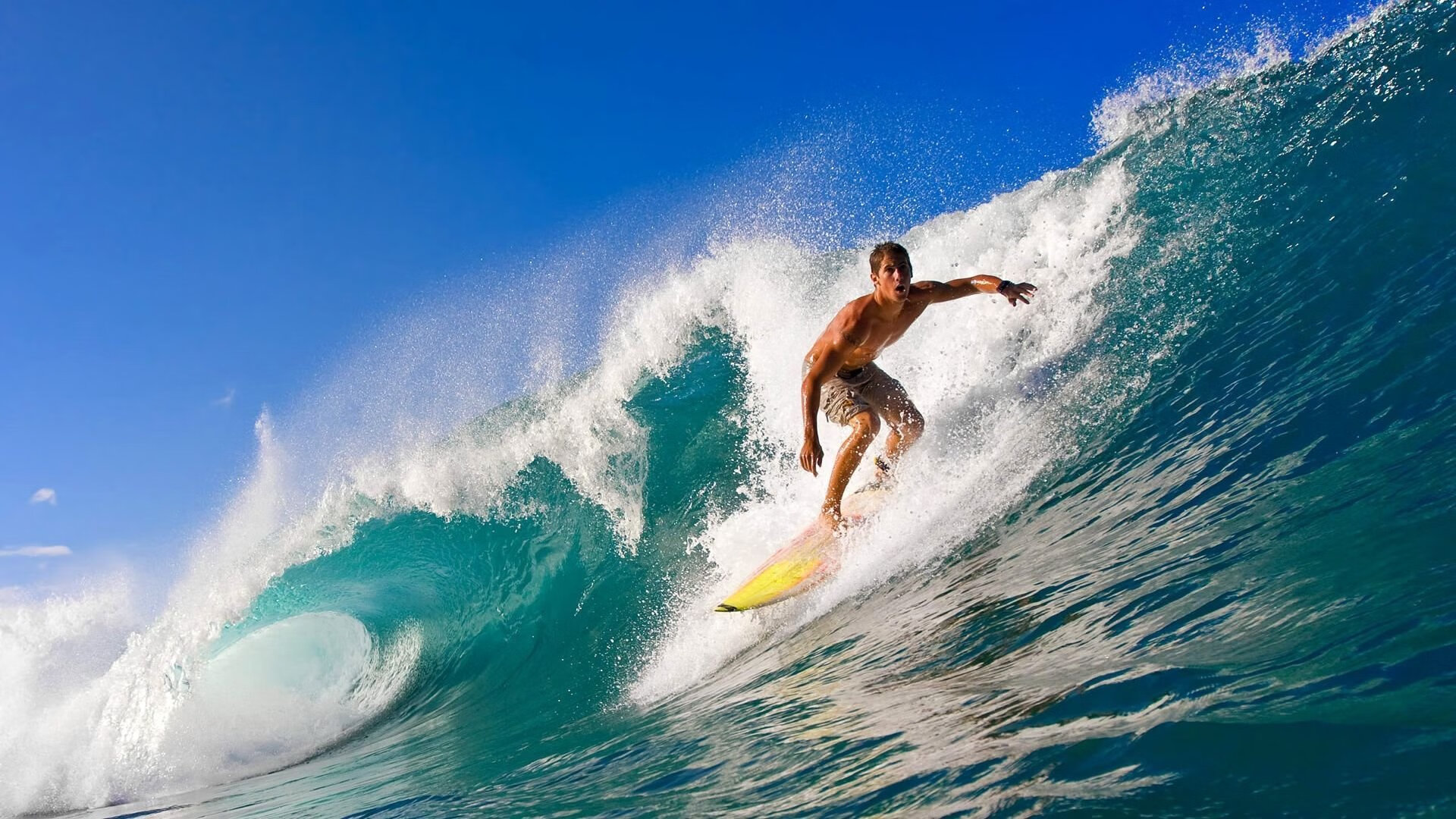 摩纳哥主场大胜图卢兹,保持胜势,摩纳哥比赛直播
