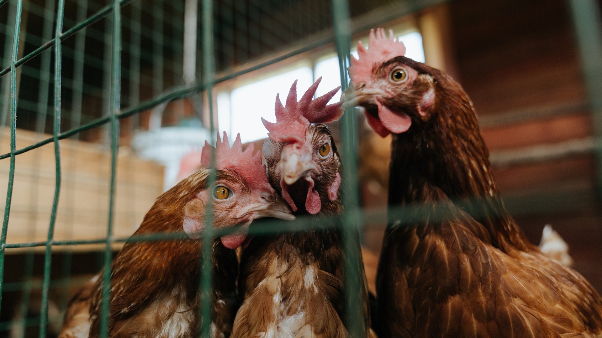 中超比赛高频犯规球队分析列表,中超比赛的规则