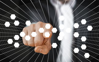 开云app安全认证-篮球专项技能动作视频资源开发及教学应用，篮球训练技能动作