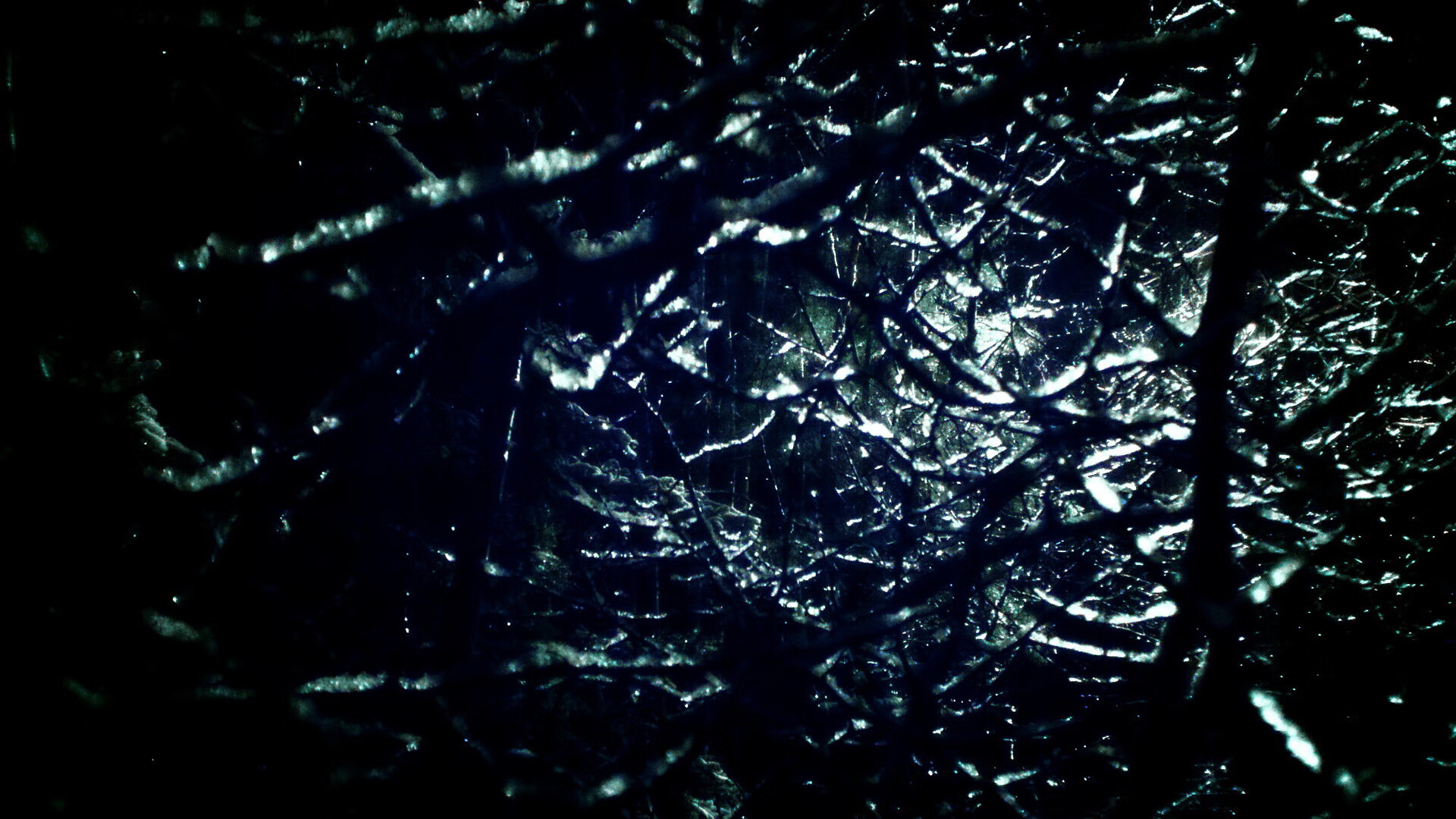 篮球专项技能动作视频资源开发及教学应用,篮球训练技能动作