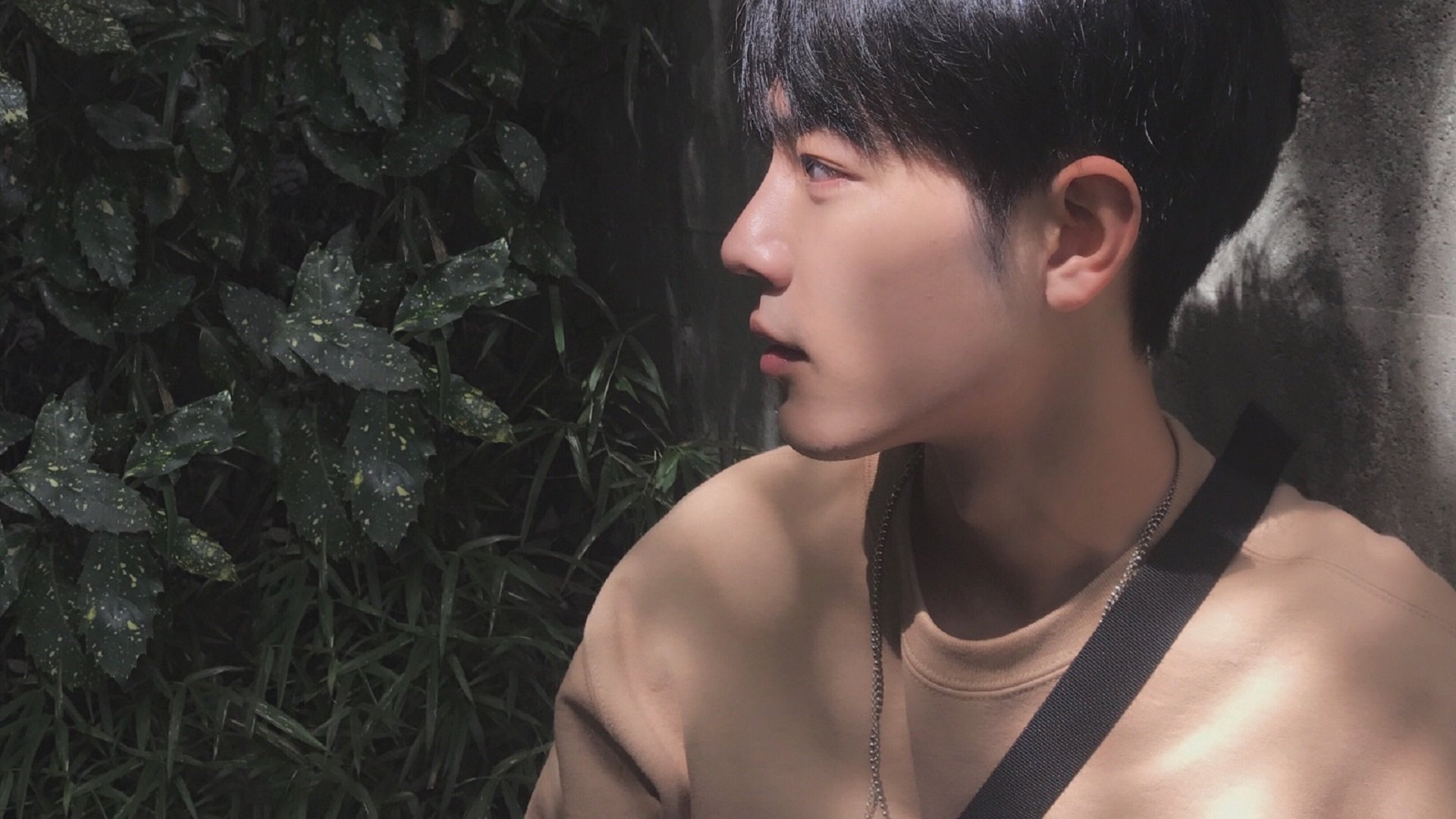 英超“黑马崛起”:莱斯特城奋勇争冠