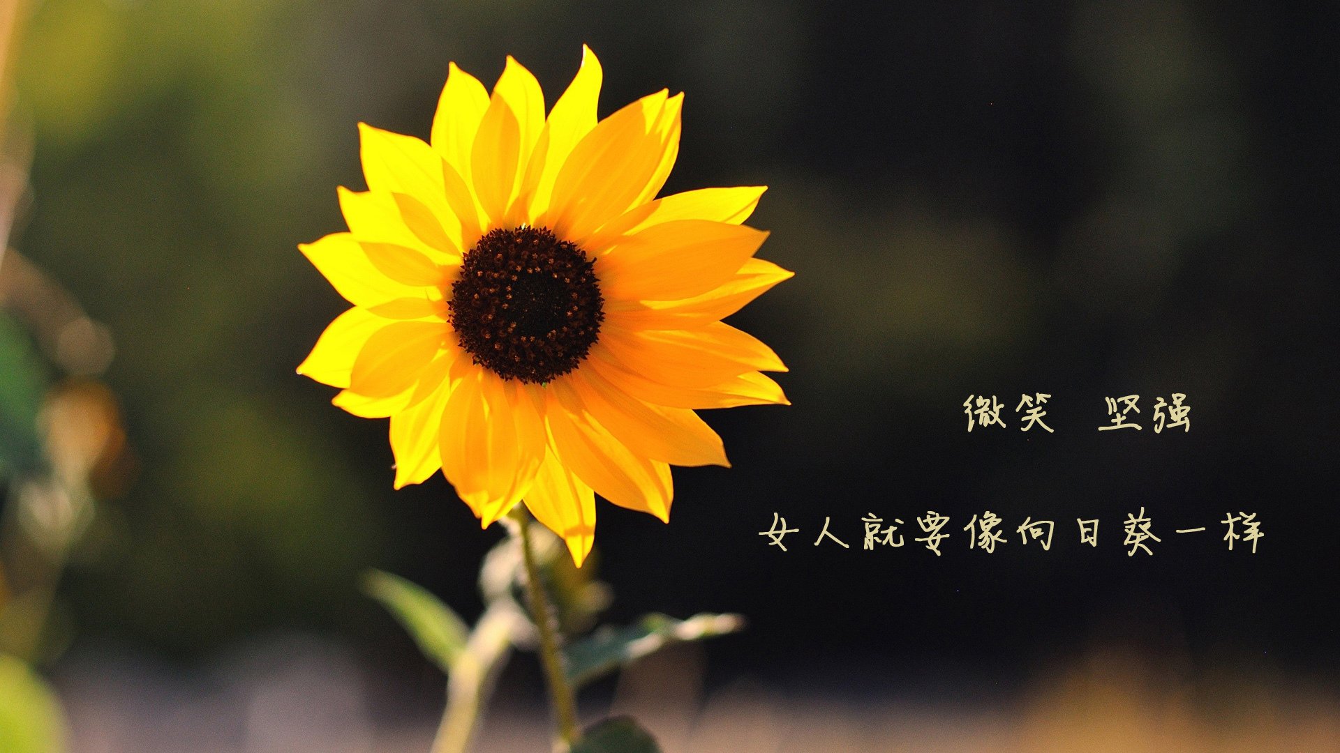 “高新区全民健身馆壁球:这场比赛,分秒必争,胜者全凭瞬间反应”