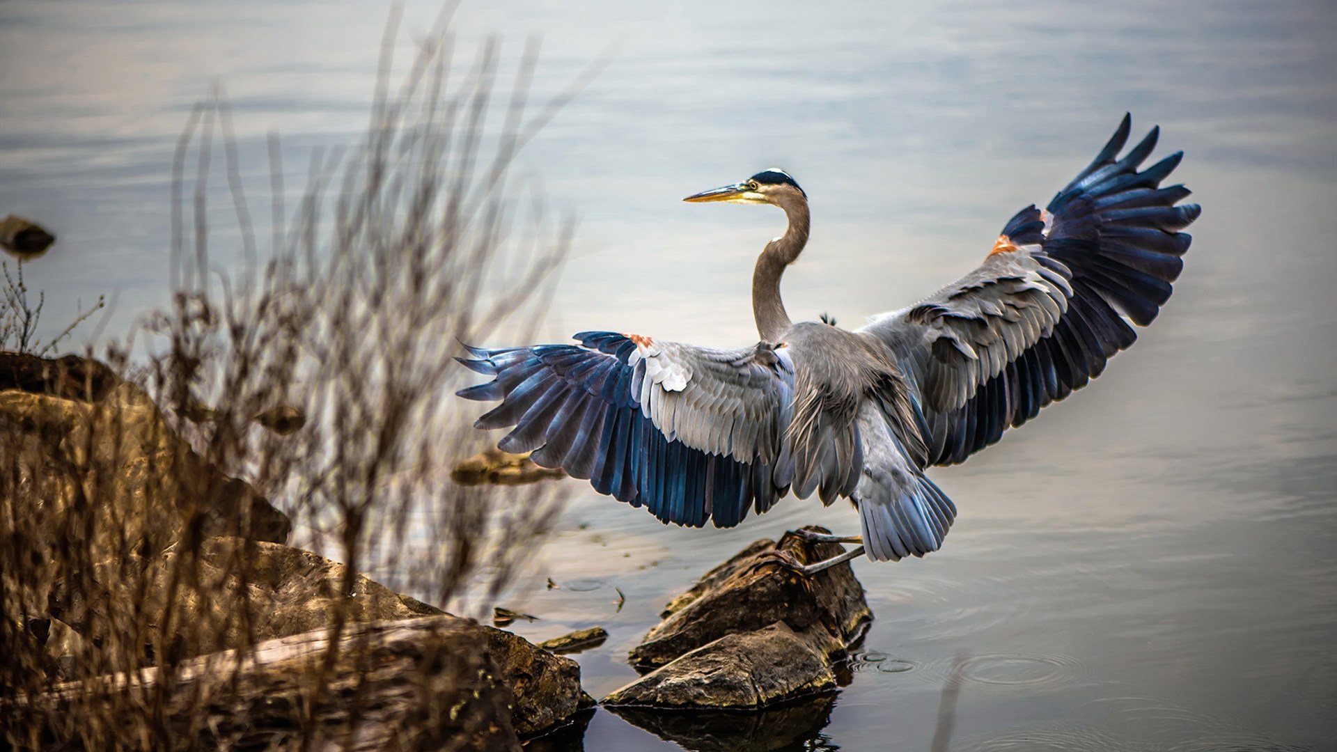 开云体育下载网址-中国男篮积极适应国际节奏 球员提升比赛阅读能力，2021年中国男篮训练视频