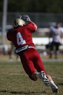 开云体育APP-五大联赛争四阶段关键球员贡献值差异对比，五大联赛引援