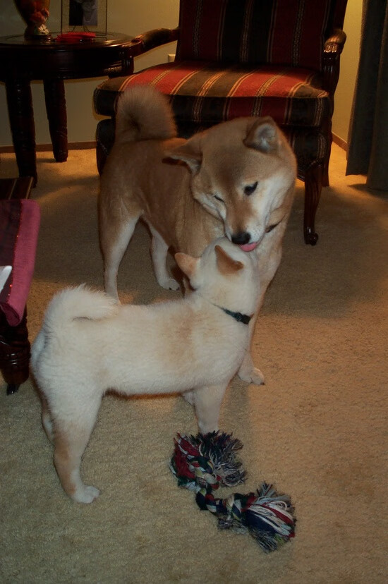 五大联赛边路组合如何影响整体战术结构韵律，五大顶级边路