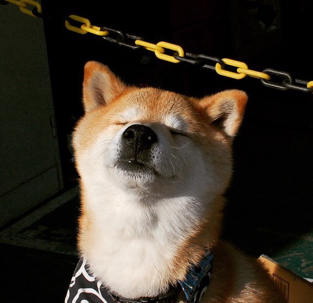 Kysports-体育新闻中心发布青少年体育媒体素养指南,青少年体育素质教育