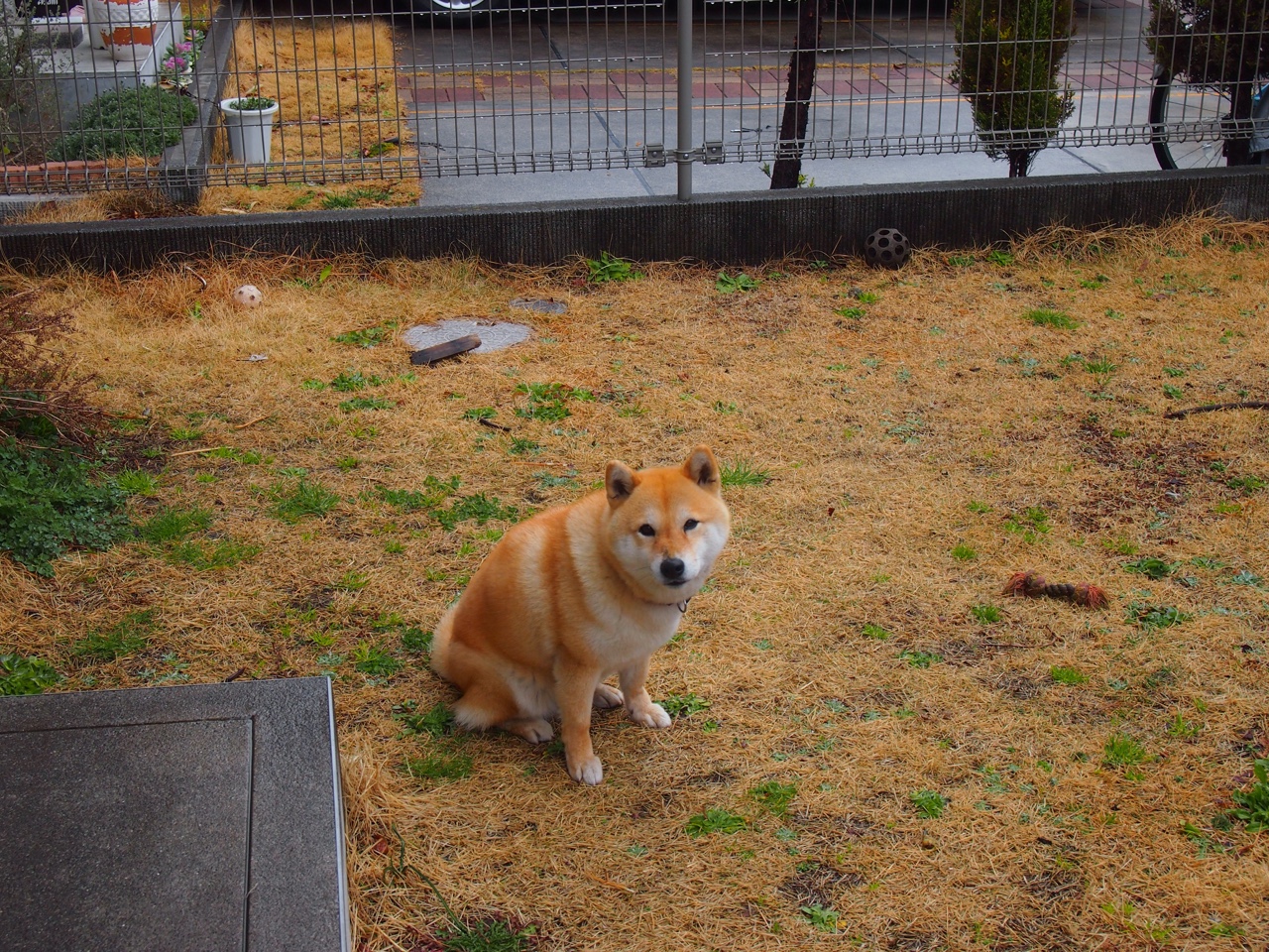 体育新闻中心发布青少年体育媒体素养指南,青少年体育素质教育