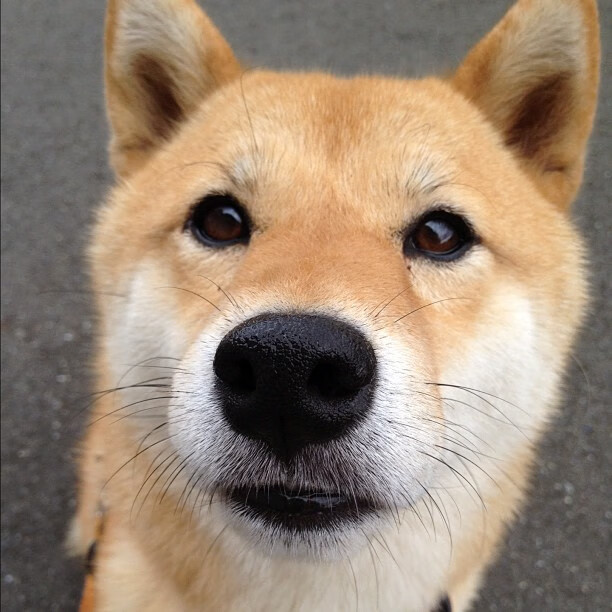 体育新闻中心启动体育数字内容创新孵化项目,中国体育数字创新大赛