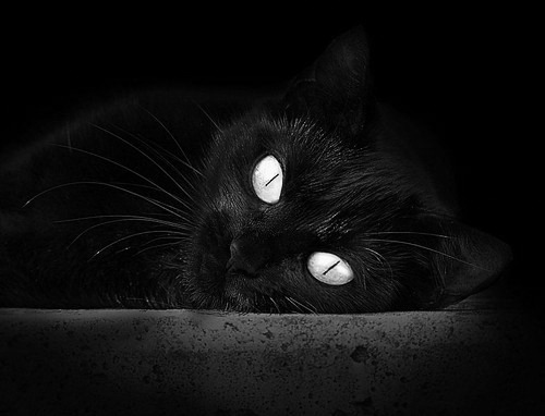 全民健身器材投放进乡村体育角,全民健身器材安装规定