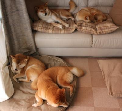 埃弗顿加强中路推进寻找破门机会,埃弗顿阵型